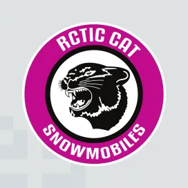 Arctic cat